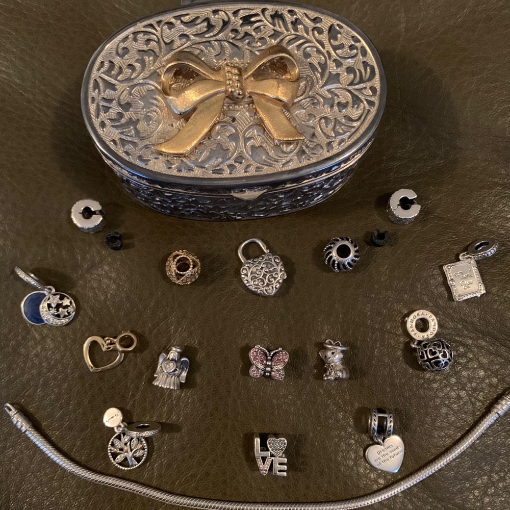 Pandora Bracelet w/thirteen charms